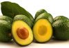 Avokado Yaprağı Çayının Faydaları Nelerdir? Avokado Yaprağı Çayı